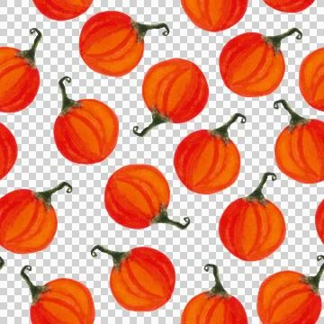 Seamless pattern of watercolor pumpkins on white background, hand painted Stock Illustration