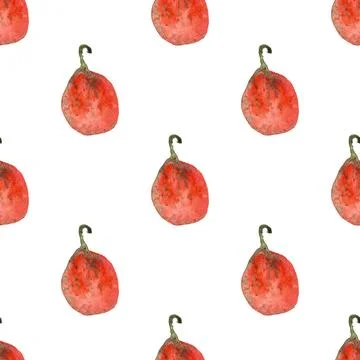 Seamless pattern of watercolor pumpkins on white background, hand painted Stock Illustration