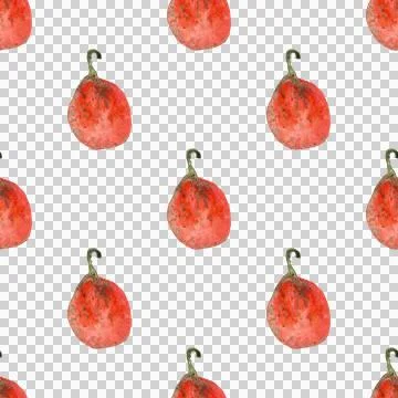 Seamless pattern of watercolor pumpkins on white background, hand painted Stock Illustration