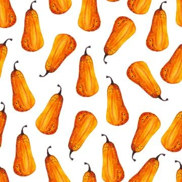 Seamless pattern of watercolor pumpkins on white background, hand painted Stock Illustration