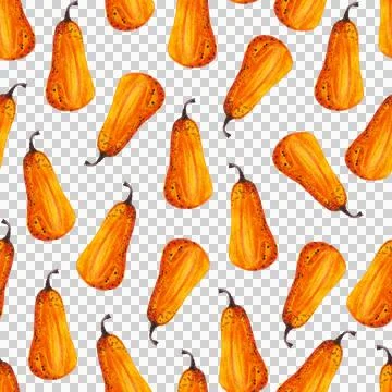 Seamless pattern of watercolor pumpkins on white background, hand painted Stock Illustration