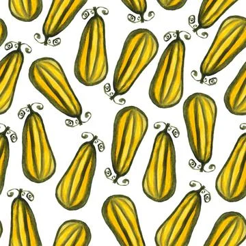 Seamless pattern of watercolor pumpkins on white background, hand painted Stock Illustration