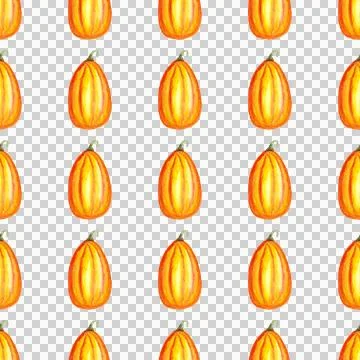 Seamless pattern of watercolor pumpkins on white background, hand painted Stock Illustration