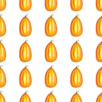 Seamless pattern of watercolor pumpkins on white background, hand painted Stock Illustration
