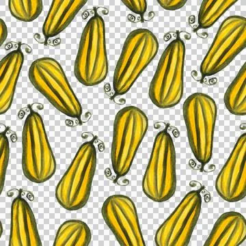 Seamless pattern of watercolor pumpkins on white background, hand painted Stock Illustration