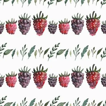 Seamless Pattern with Watercolor Raspberry and Blackberry. Stock Illustration