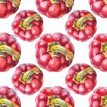 Seamless pattern watercolor red bell pepper on white background. Hand drawn Stock Illustration