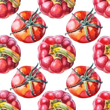 Seamless pattern watercolor red bell pepper and tomato on white background. Hand Stock Illustration