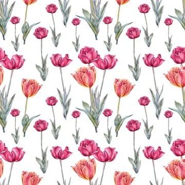 Seamless pattern watercolor red orange tulip with green leaves isolated on white Stock Illustration