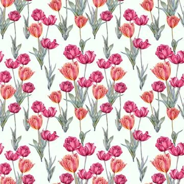Seamless pattern watercolor red orange tulip with green leaves isolated on white Stock Illustration