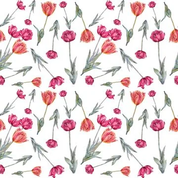 Seamless pattern watercolor red orange tulip with green leaves isolated on white Stock Illustration