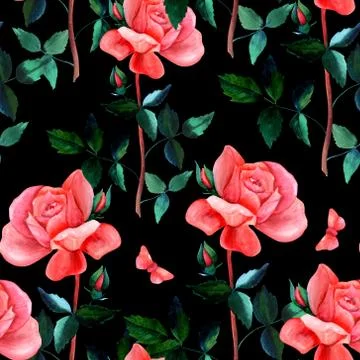 Seamless pattern with watercolor rose and butterfly on black Stock Illustration