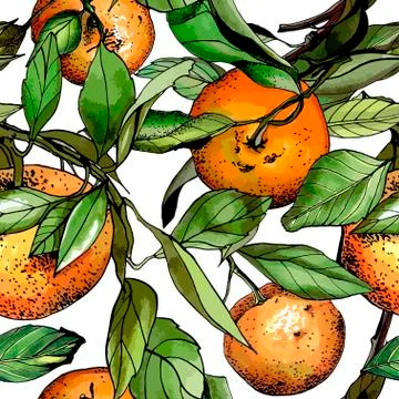 Seamless pattern, watercolor tangerines Stock Illustration