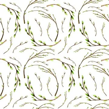 Seamless pattern Watercolor tree branch with green leaves, pussy willow. Spring Stock Illustration
