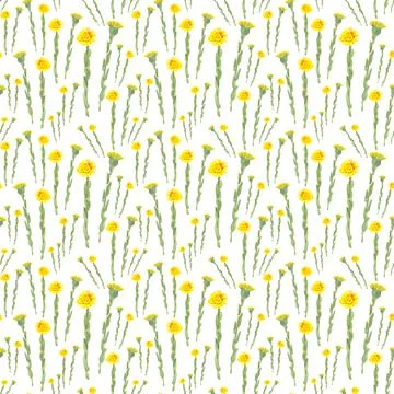 Seamless pattern with watercolor yellow spring flowers on white background Stock Illustration