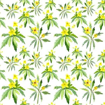 Seamless pattern with watercolor yellow spring flowers on white background Stock Illustration