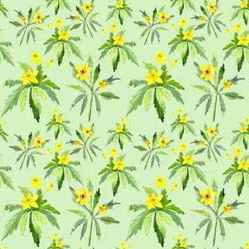 Seamless pattern with watercolor yellow spring flowers on green background Stock Illustration
