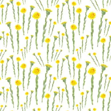 Seamless pattern with watercolor yellow spring flowers on white background Stock Illustration