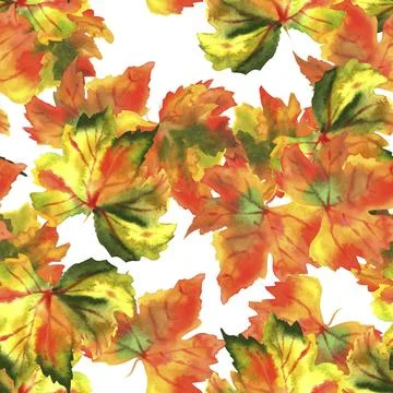 A seamless pattern of watercolour autumn grape vine leaves on a white Foto stock
