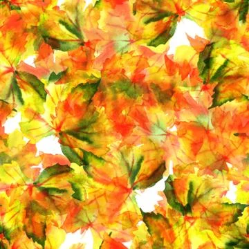 A seamless pattern of watercolour autumn grapevine leaves Ilustração Stock