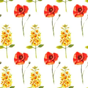 Seamless pattern with watercolour hand painted poppies and eremurus Stock Illustration