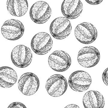 Seamless pattern watermelon cut sketch hand drawn Stock Illustration