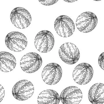 Seamless pattern watermelon green sketch hand drawn Stockillustratie