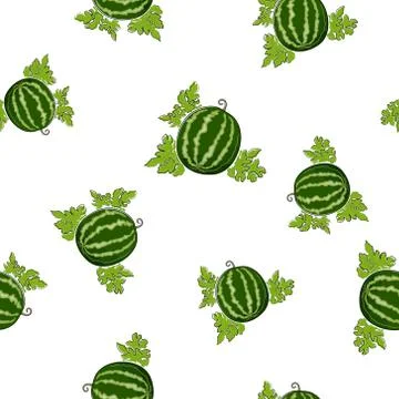 Seamless Pattern of Watermelon 스톡 일러스트
