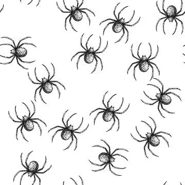 Seamless pattern web spider sketch hand drawn Stock Illustration