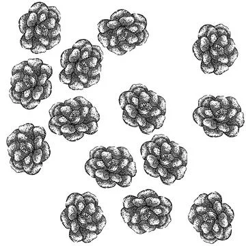 Seamless pattern wedding camellia sketch hand drawn Illustrazione stock