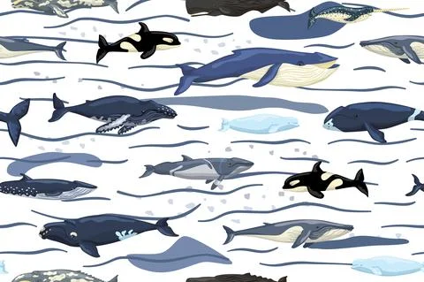 Seamless pattern whales on white background with waves and smudge. Template o Stock Illustration