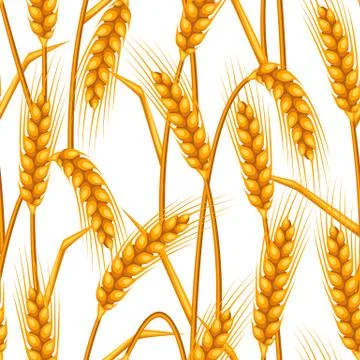 Seamless pattern with wheat. Agricultural image natural golden ears of barley or Illustrazione stock