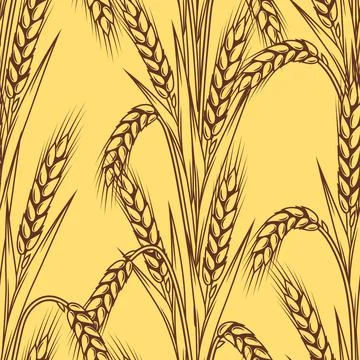 Seamless pattern with wheat. Agricultural image with natural ears of barley or Stock Illustration