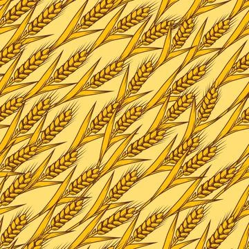 Seamless pattern with wheat. Agricultural image with natural ears of barley or イラスト素材