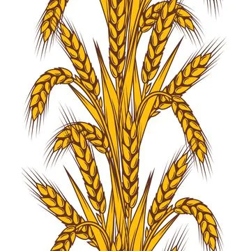 Seamless pattern with wheat. Agricultural image with natural ears of barley or Stock Illustration