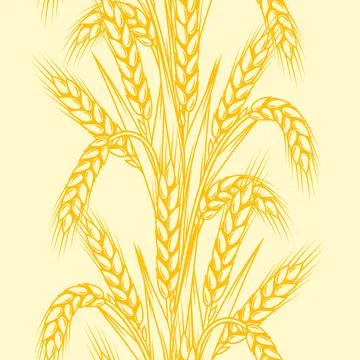 Seamless pattern with wheat. Agricultural image with natural ears of barley or Stockillustratie