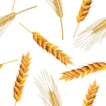 Seamless pattern wheat and rye ears Stock Illustration