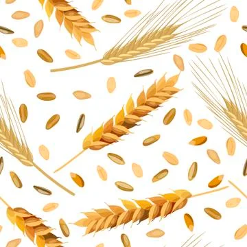 Seamless pattern wheat and rye ears and grains.  Stock Illustration