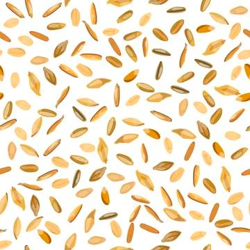 	Seamless pattern wheat and rye grains.  Stock Illustration