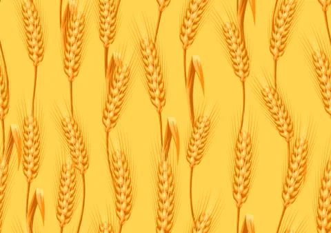 Seamless pattern with wheat. Stock Illustration
