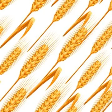 Seamless pattern with wheat. イラスト素材