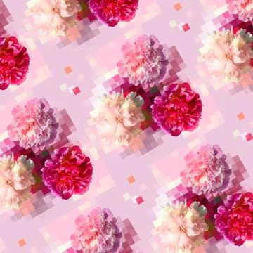 Seamless pattern with white and pink peony flowers Stock Photos