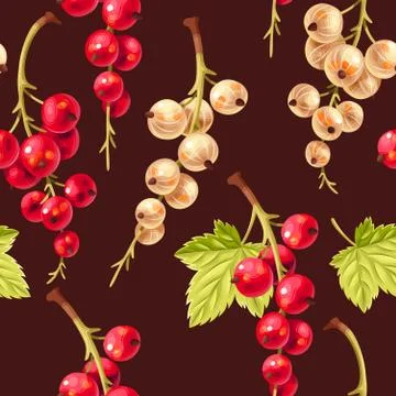Seamless pattern white and red currant berries Stock Illustration