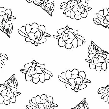 Seamless pattern on a white background. Coloring book for children and adults Stock Illustration