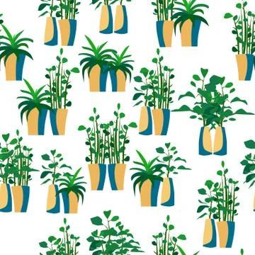 Seamless pattern on a white background indoor plants in pots in pairs Stock Illustration