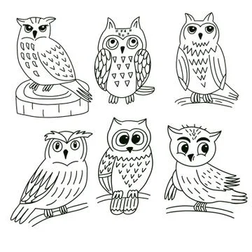 Seamless pattern on a white background with owls Stock Illustration