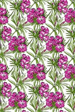 Seamless pattern. On a white background, pink and purple carnation flowers. Illustrazione stock