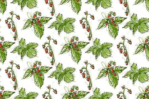 Seamless pattern. On a white background, a strawberry plant. Stock Illustration