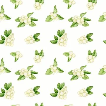 Seamless pattern with white berries on a white background. Hand watercolor. Stock Illustration