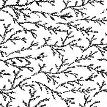 Seamless pattern, white branches of fir tree in hand drawn style in blue ba.. Stock Illustration